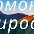 Лирика 2 Гармония природы Из цикла Гармония Психолог сексолог Светлана Лубянская