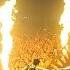 YELLOW CLAW AFP2016
