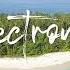 Best Exciting Electronic Music For Video 39STRIFE Conglomerate