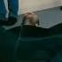 Chester And Jason Statham Bloopers On Crank High Voltage Linkinpark Youtubeshorts