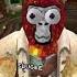 Day Four Gorillatag Gorillatagquest Gtag Vr Fup