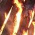 4k Campfire Is Burning V3 Fireplace For TV Fire Sounds