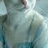 Cat Clan Civil War Part 1 Orangecat Funnycat