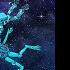 Various Artists Psychill Blossom Vol 2