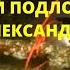 Шокирующие находки на борту затонувшей немецкой субмарины U 215 и судна Александр Макомб