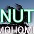 Mohombi Coconut Tree Ft Nicole Scherzinger Lyrics Under The Coconut Tree