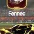Fennec Design Orange Team 21 RocketLeague RocketLeaguePresets RocketLeagueDesigns