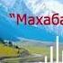 Баян Акматов Махабат майданы