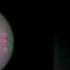 Uranus Remix