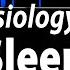 Sleep Physiology Animation