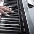 Pisces Tony Ann Piano Cover