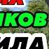СТРАДАНИЯ СВЯТЫХ МУЧЕНИКОВ Михаила князя Черниговского и боярина его Фёдора Рассказы Святых