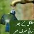 Sattar Quotes Love