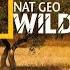 Nat Geo Wild Мир Документальных Фильмов