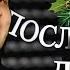 Сергей Ниточкин Последний час декабря Секрет