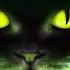 The Cat Came Back Scott Bruffey