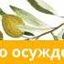 21 июня 2025 Нет никакого осуждения Под сенью благодати Адвентисты