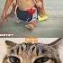 Give This Video Tittle Warning Answer Cat Funny Tiktok Memes