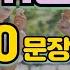 기초중국어회화 24 중국 11살 수준 100문장 반복적으로 틀어만두세요