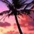 Demarkus Lewis Sax On The Beach Original Mix