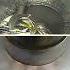 Nuri Blasts Off Rocket Successfully Carries Satellites Into Orbit