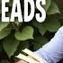 10 WONDERFUL SUMMER CLASSIC BOOKS Books Bookrecommendations