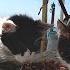 This Man Walks From Street To Street And Feeds Hundreds Of Stray Cats Every Day