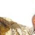 REMI ALUKO ERIN WO MEMORABLE SONG FOR SIKIRU AYINDE BARRISTER