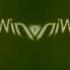 Windows 7 Logo Animation In G Major 355