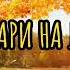 Косари на лугу