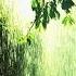 Relaxation Music 1 Hour Gentle Rain Meditation