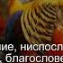 Сура Сад 38 29 Чтение Корана с русским переводом Коран с голосовым переводом
