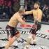 Горилла взорвал вес мир бой боец бокс бои мма нокаут Ufc юфс спорт Ufs
