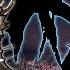Can I Beat Dark Souls 3 Randomizer Without A Single Death