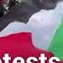Paris Police Clear Gaza Protesters At Sorbonne University FRANCE 24 English