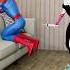 Spiderman Vs Spider Gwen Gwen Gave Spiderman An Injection Marvel Animation