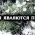 Мухаммад аль Люхайдан Сура аль Хашр Сбор 18 24