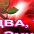 РАЗ ДВА ТРИ Ирина Эмирова