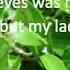 Greensleeves Lyrics Orginal