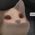 Five Nights At Floppa 3 игра