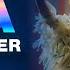 SIA Together 2020 ARIA Awards Livestream