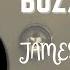 Buzzsaw Joint Cut 7 James Misty Album Trailer