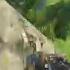 Far Cry 3 Путь охотника 3 Жёлтозобый казуар