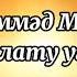 Салауат Ясауи тобы