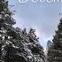 Snow Day December 2021