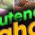 Outenga Gahori Aru Laai I Picnic Vlog I Nosto Lora I Life Of A Pork Lover I Jatin Hazarika I