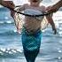 Golden Retriever Rescue Baby Mermaids From Cruel Fisher Goldenretreivers Dogrescue Dogsavesbaby