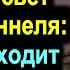 Я видела свет в конце тоннеля Что происходит после смерти