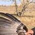 Visiting Lakota Medicine Man Rare Opportunity