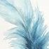 Watercolor Blue Feather Real Time Painting Demonstration